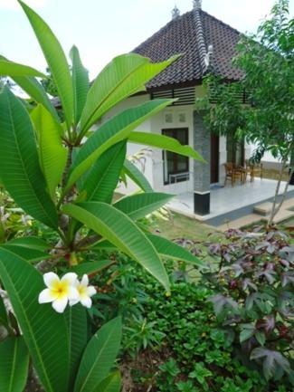 Bingin Family Bungalow Uluwatu  Bagian luar foto